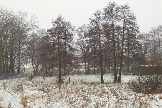 zwischen Burgdorf und Sorgensen/Hülptingsen