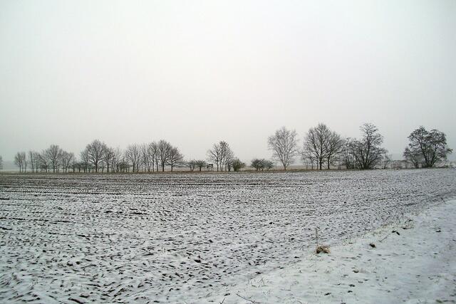 Feldmark Dachtmissen