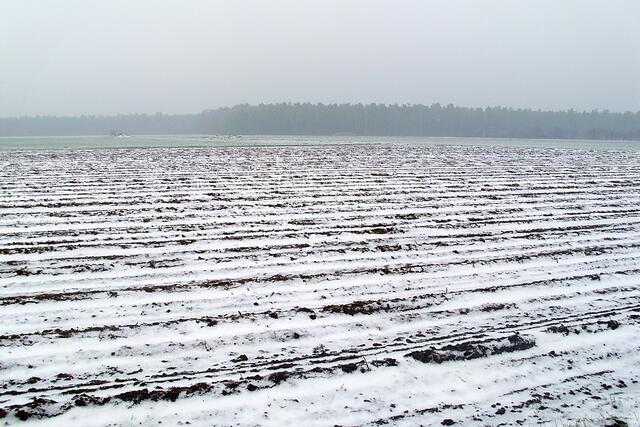 Feldmark Dachtmissen