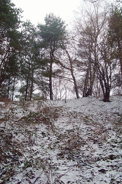 Waldweg Richtung Hülptingsen/Sorgensen