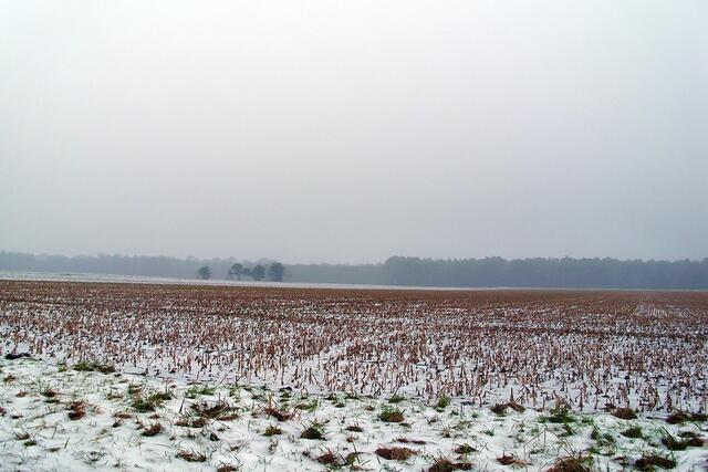 Feldmark Dachtmissen