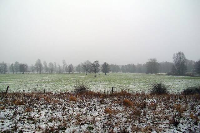 zwischen Burgdorf und Sorgensen/Hülptingsen