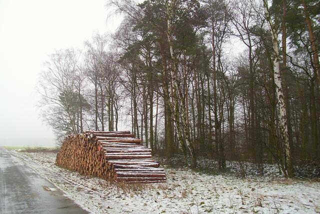 Feldmark Dachtmissen (Nähe Trimmpfad)