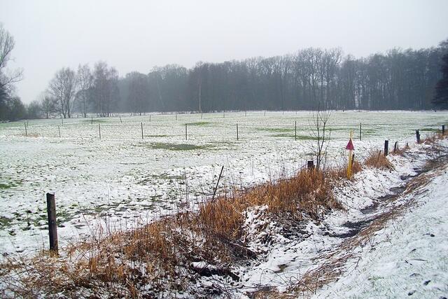 An der Straße Richtung Sorgensen