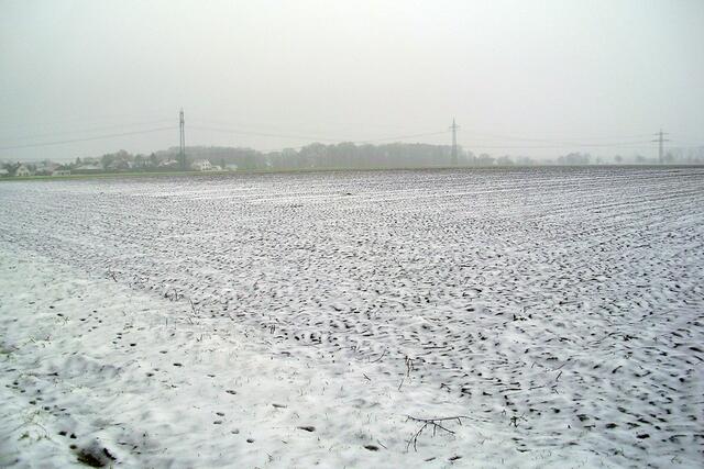 Feldmark Dachtmissen