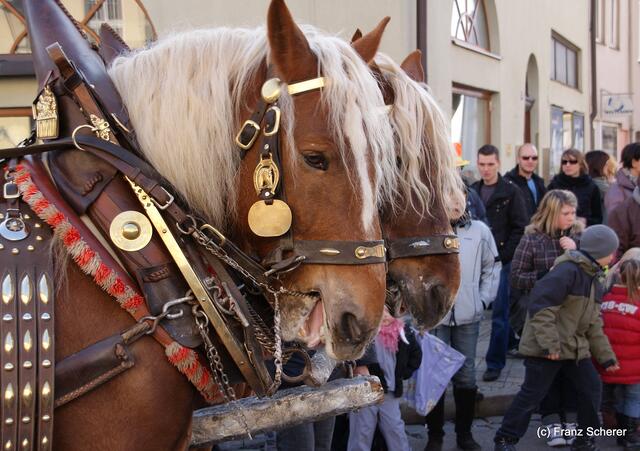 Friedberger Faschingsumzug 2011