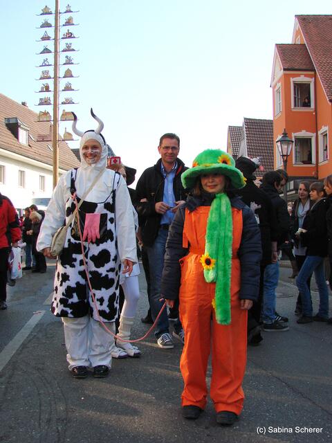 Friedberger Faschingsumzug 2011