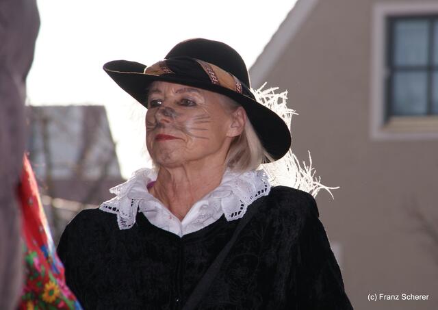 Friedberger Faschingsumzug 2011