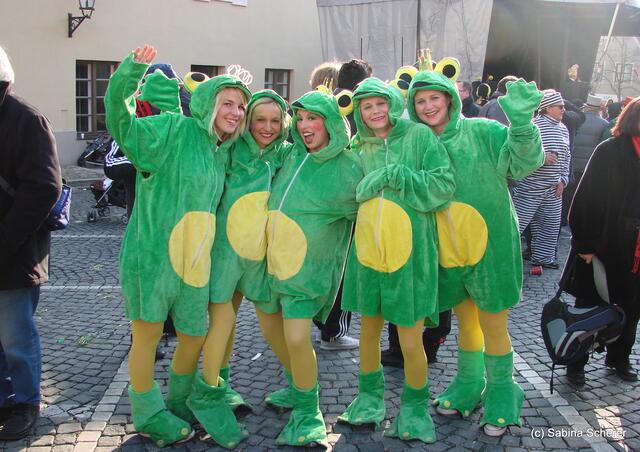 Friedberger Faschingsumzug 2011