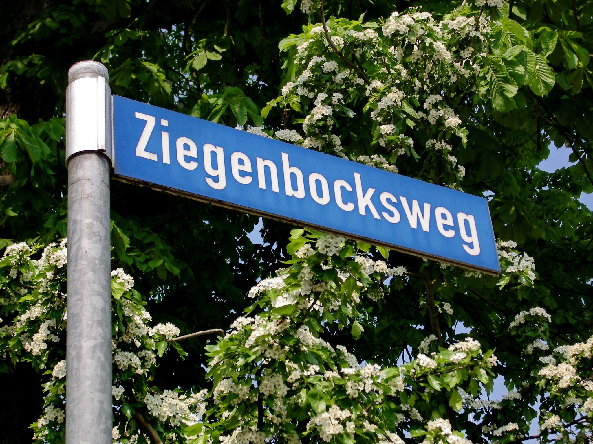 text von verdammt lang her