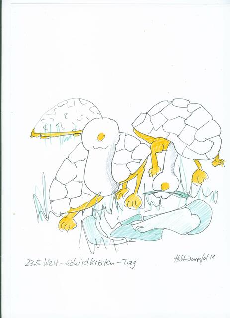 23.5.   Weltschildkrötentag