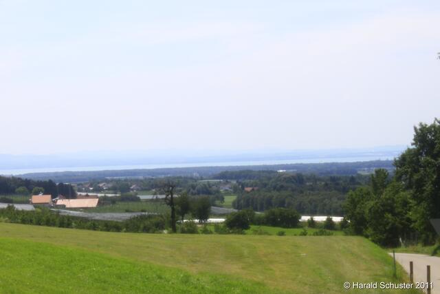 Bodensee im Hintergrund