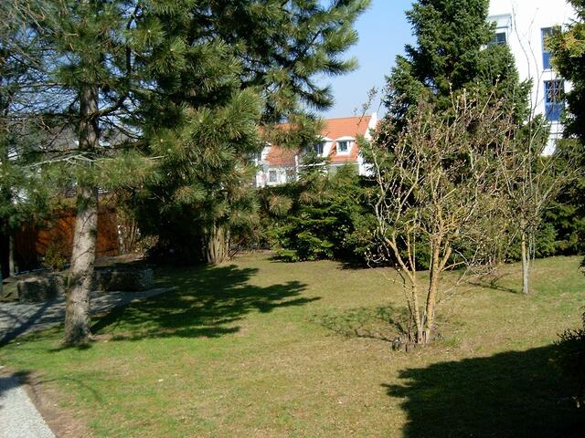 ...Blick auf den Garten vorher...