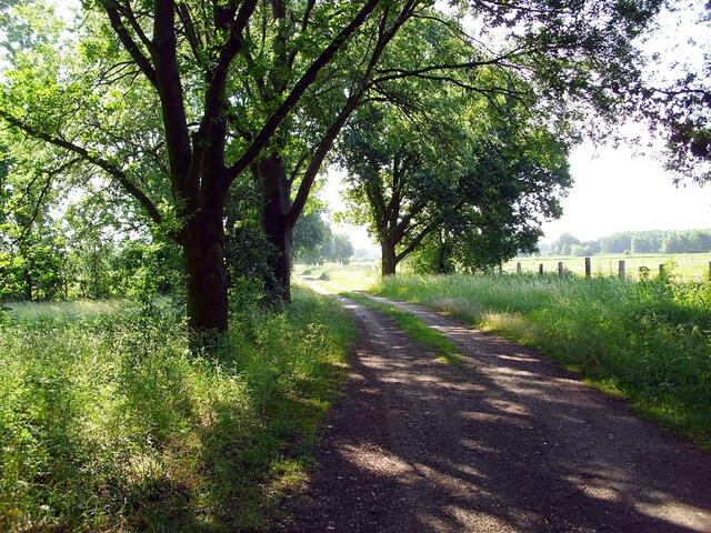 Burgdorf Richtung Steinwedel
