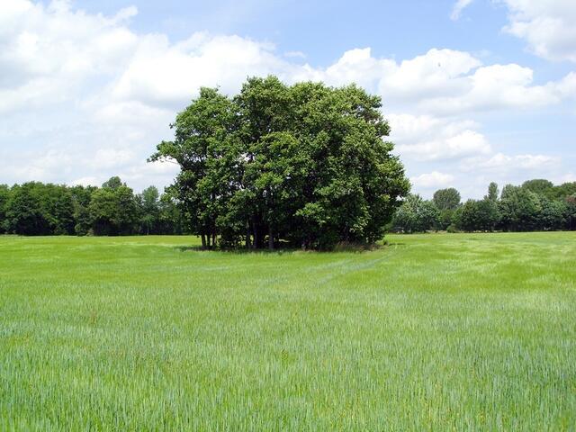 Burgdorf Richtung Steinwedel