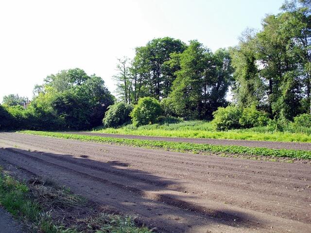 Burgdorf Richtung Steinwedel