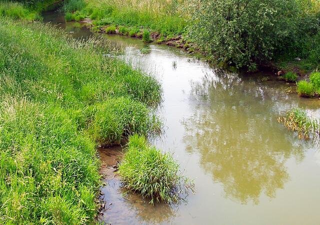 Burgdorfer Aue, von der Brücke am Kleinen Brückendamm