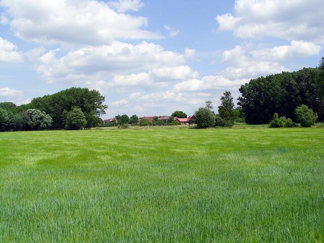 bei Steinwedel/Röddensen