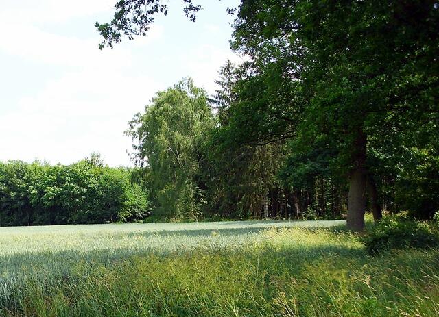 bei Steinwedel/Röddensen