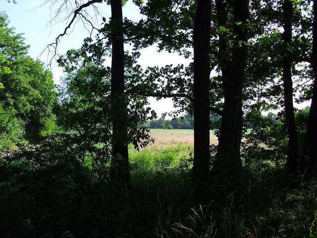 Burgdorf Richtung Steinwedel