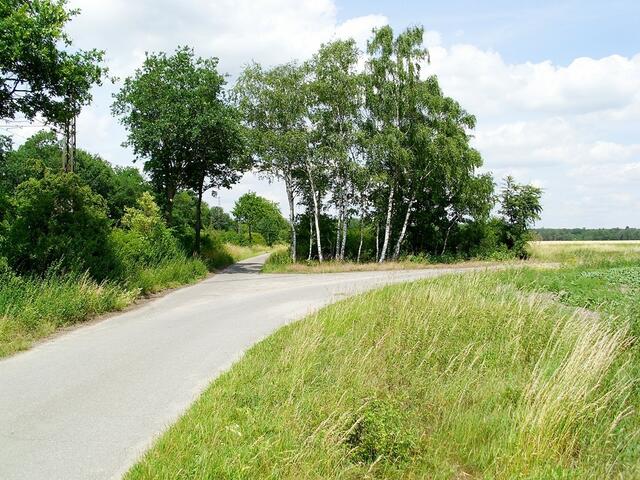 bei Steinwedel/Röddensen