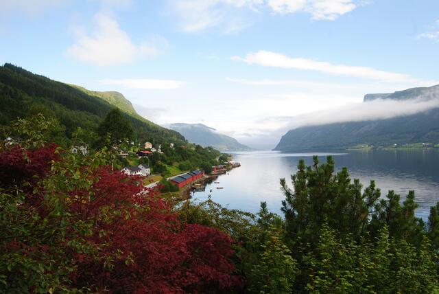 Blick auf "unseren" Fjord.