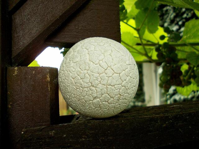 Gummiball ....