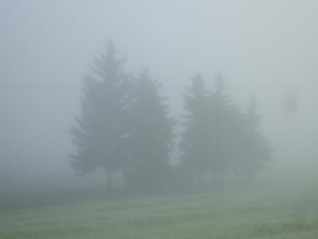 Nebel am 29.9.2011 in Nebra !