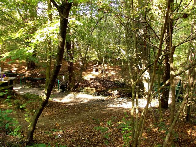 Bachlauf