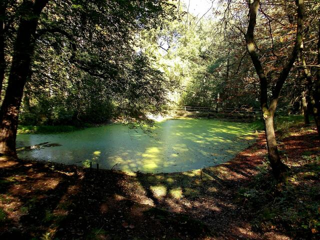 Ehemaliges Waldschwimmbad