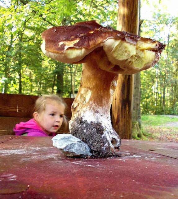 Riesenpilz