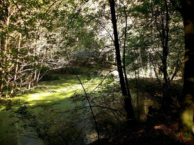 Ehemaliges Waldschwimmbad