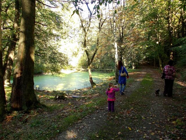 Ehemaliges Waldschwimmbad