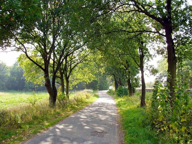 Zwischen Burgdorf und Röddensen