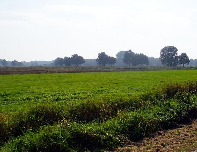 Burgdorfer Stadtpark Richtung Ahrbeck