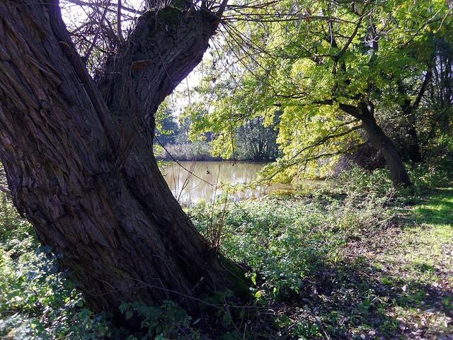 Burgdorfer Stadtpark