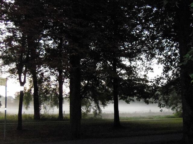 Burgdorf, Lönsweg. Nebel am Morgen. 17.10.2011