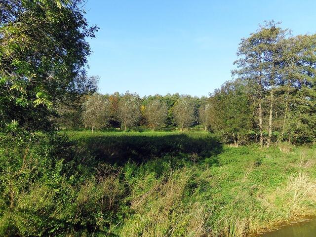 Burgdorf. Auebrücke Nähe Eseringer Str. (Blickrichtung Lehrter Str./Stadtpark)