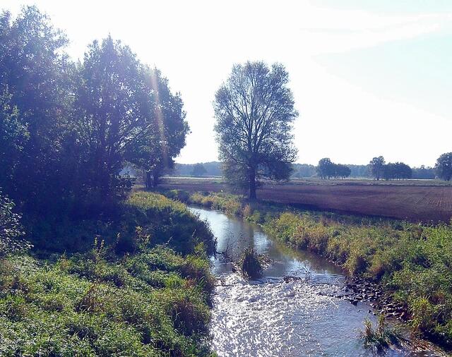 Burgdorf. Auebrücke Nähe Eseringer Str.