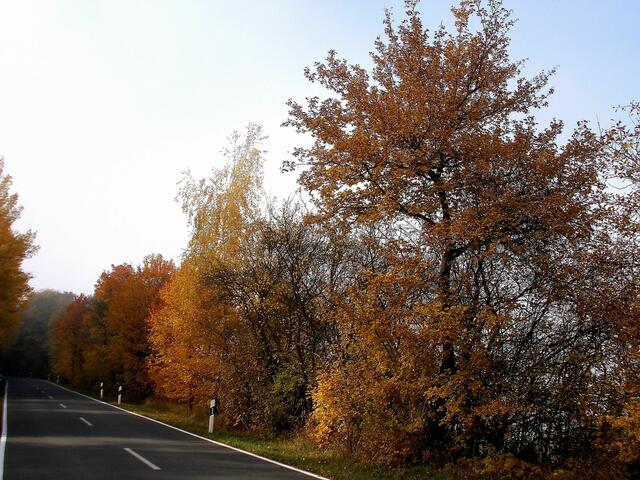 ... aufgenommen am 27.10.2011 !