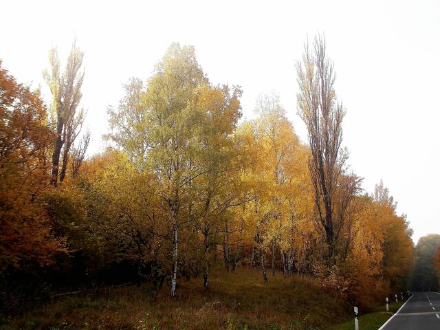 ... aufgenommen am 27.10.2011 !