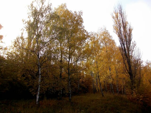 ... aufgenommen am 27.10.2011 !