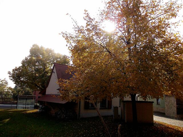... aufgenommen am 27.10.2011 !