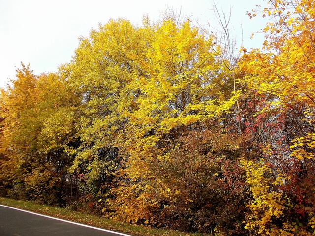 ... aufgenommen am 27.10.2011 !