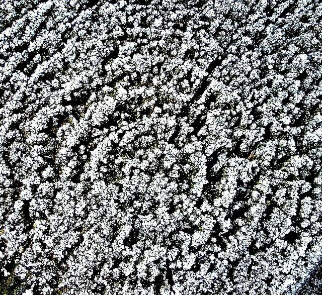 16.11.2011 ... minus 2°