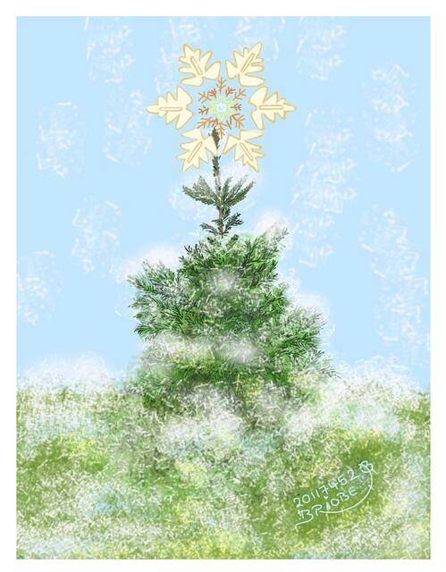 Christbaum mit Weihnachtsstern - 20117452-Tannenbaum7-im-Schnee-Brushes(c)BrigitteObermaier