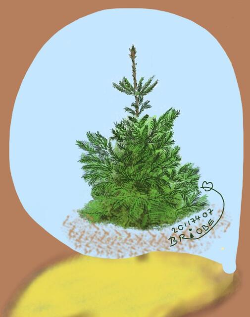 Das 7. Fenster zeigt uns den Tannenbaum.
Er schenkt uns Humor und den Weihnachtstraum. -