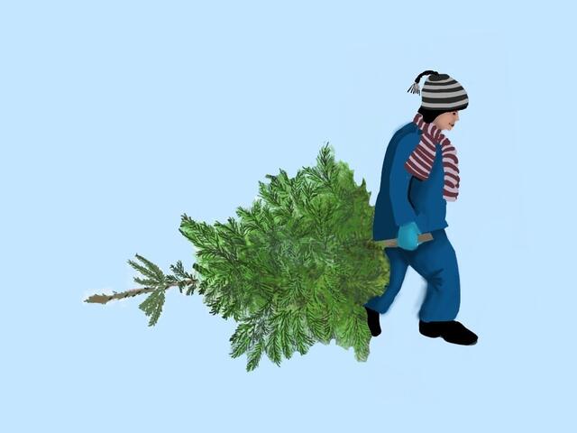 20117448-Junge-mit-Tannenbaum-Brushes-(c)BrigitteObermaier vom 28.10.2011 > 
Eine besondere Weihnachtsgeschichte -