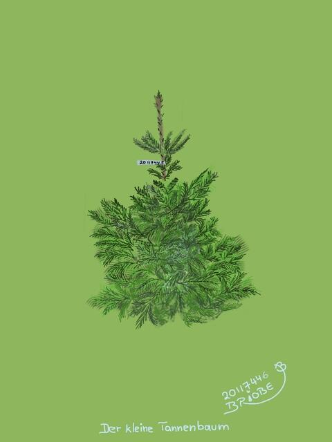 Der letzte Weihnachtsbaum - 6. Teil > Das offene Ende > 
Eine besondere Weihnachtsgeschichte -