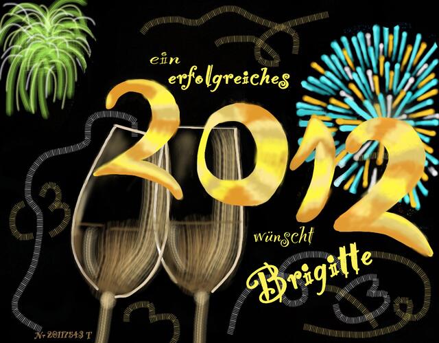 20117543T-ErfolgreichNeujahr2012-Brushes(c)BrigitteObermaier